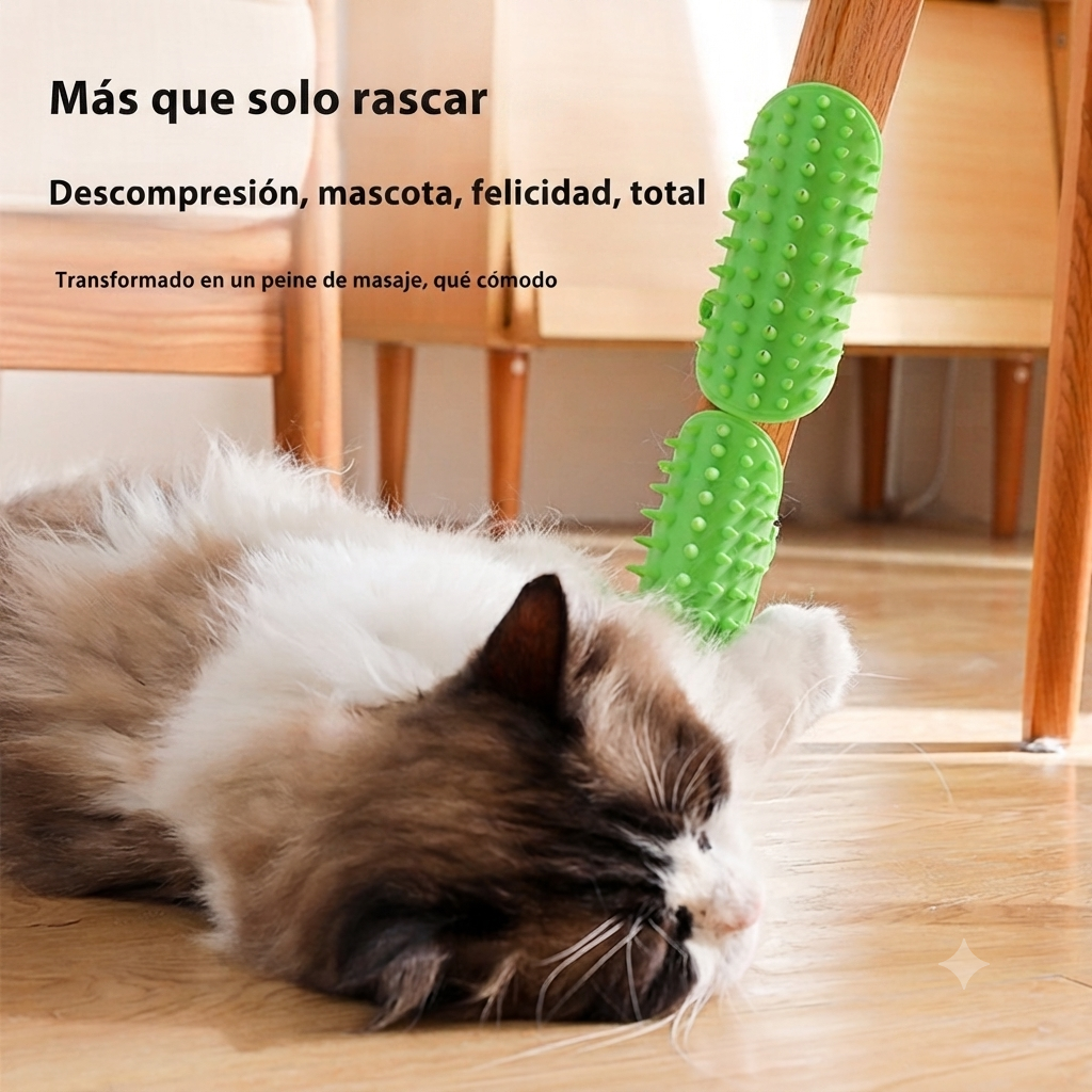 Cepillo de pared para rascar y frotar