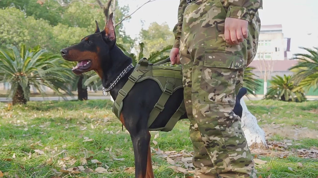 Arnés táctico de pecho reflectante transpirable para perros