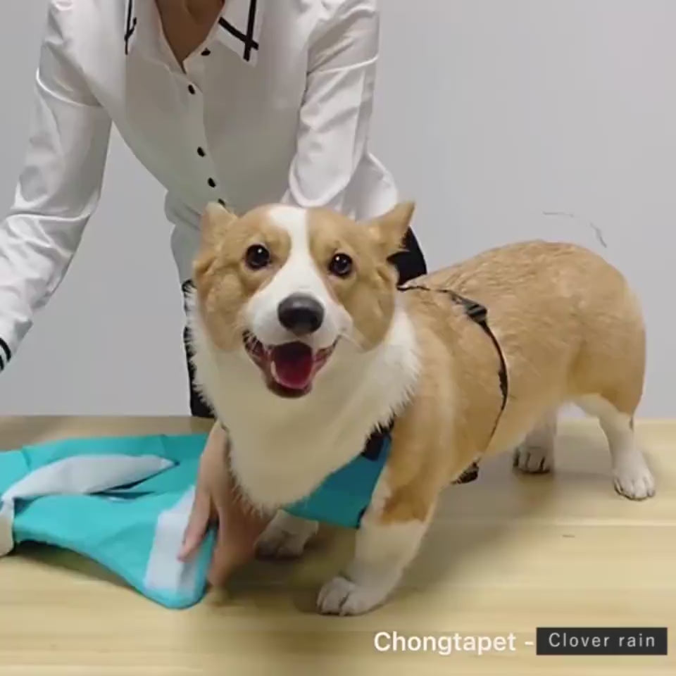 Transparent Brim Waterproof PU Dog Raincoat